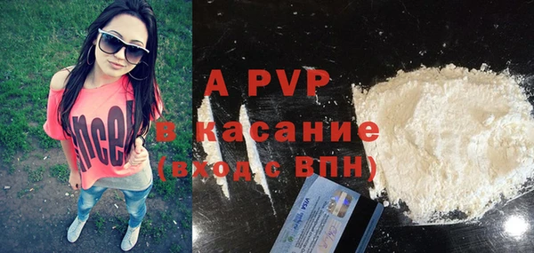 ECSTASY Инсар