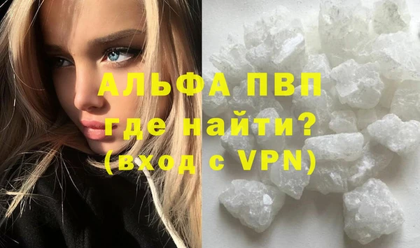 ECSTASY Инсар