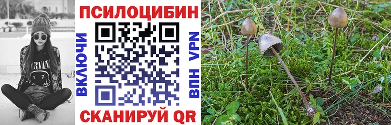 Псилоцибиновые грибы мицелий  Купить закладки  Ермолино 